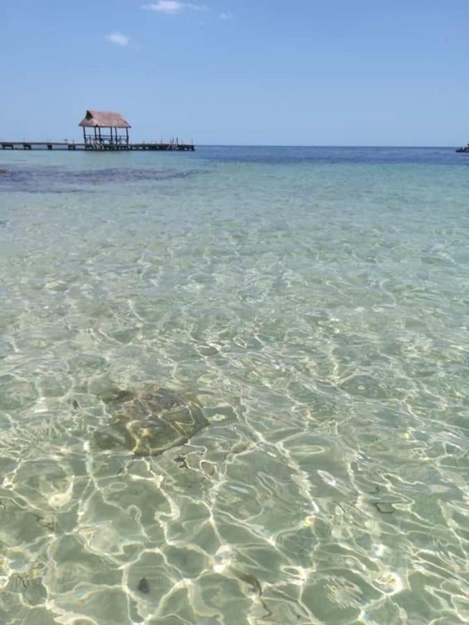 Апартаменты Torre Aguamarina Кампече Экстерьер фото